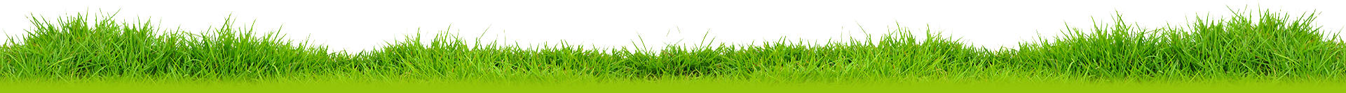 grass-png-image-pictures-images-grass-png-image-13.png